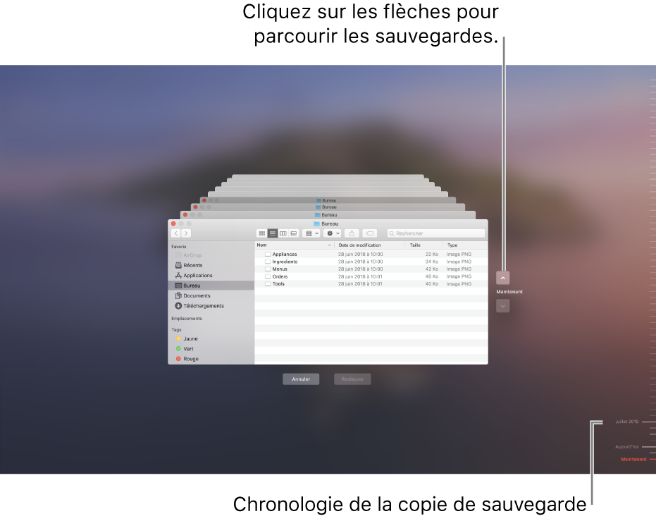 Lorsque vous ouvrez Time Machine, un écran flou s’affiche avec plusieurs écrans du Finder empilés pour représenter les sauvegardes. Cliquez sur les flèches pour parcourir vos sauvegardes (ou cliquez dans la chronologie de sauvegarde située à droite) et choisissez les fichiers à restaurer.