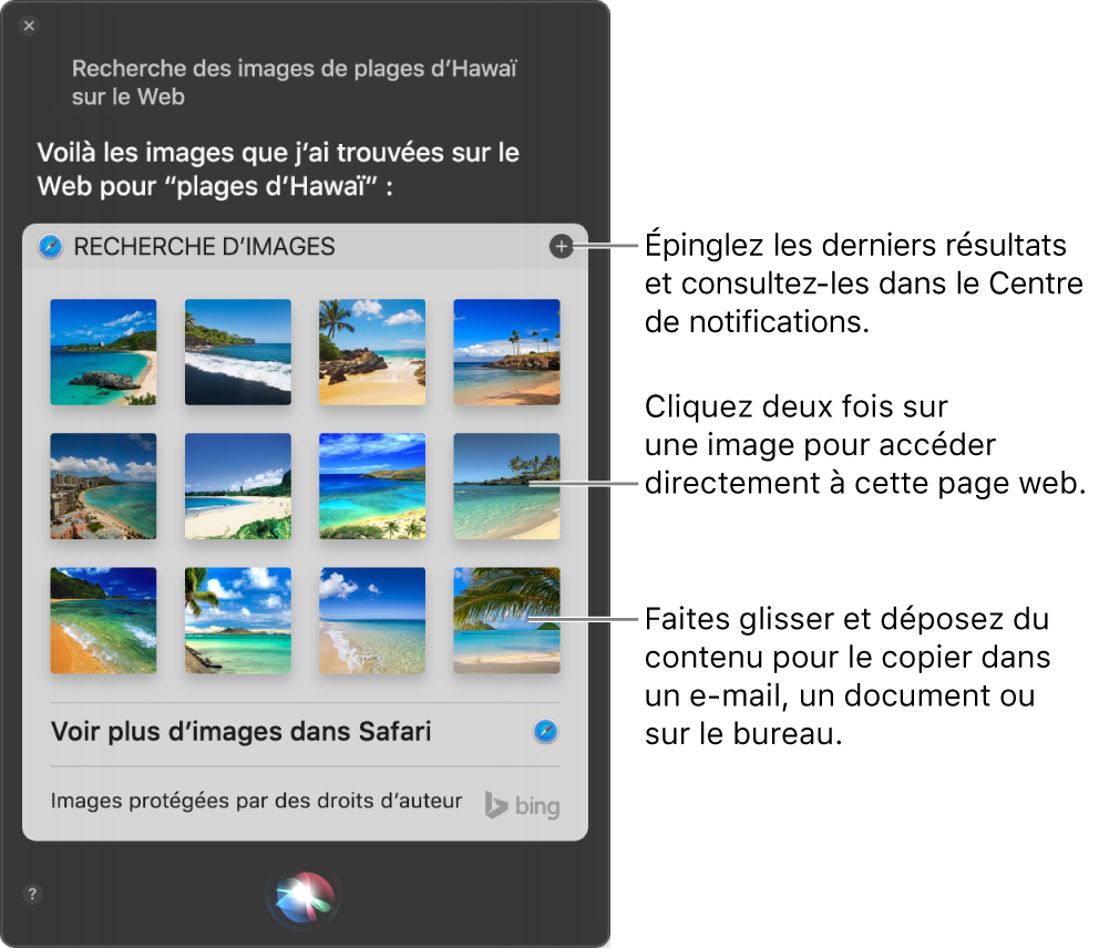 La fenêtre Siri affichant les résultats de Siri pour la demande “Recherche des images des Seychelles sur le Web”. Vous pouvez épingler les résultats au Centre de notifications, cliquer deux fois sur une image pour ouvrir la page web qui contient l’image ou faire glisser une image dans un e-mail ou un document ou sur le bureau.