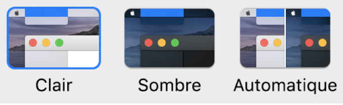 Des échantillons des apparences claire, sombre et automatique.