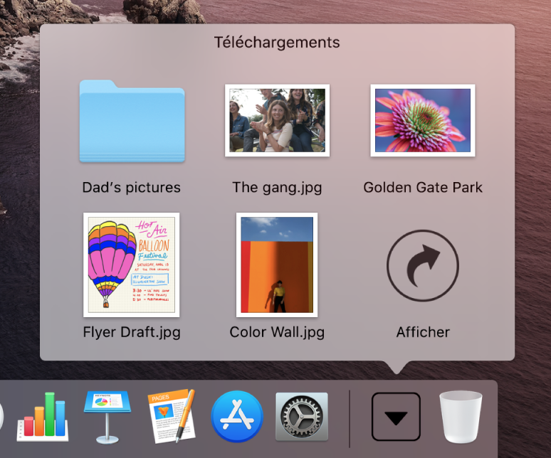 La pile Téléchargements dans le Dock ouverte pour afficher son contenu dans une grille.