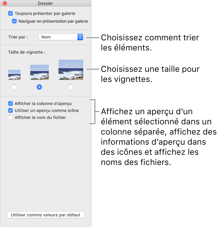 Options de la présentation par galerie : Vous pouvez choisir le mode de tri des éléments, choisir la taille des vignettes, afficher un aperçu de l’élément sélectionné dans une colonne distincte, afficher des informations d’aperçu dans les icônes et afficher le nom du fichier.
