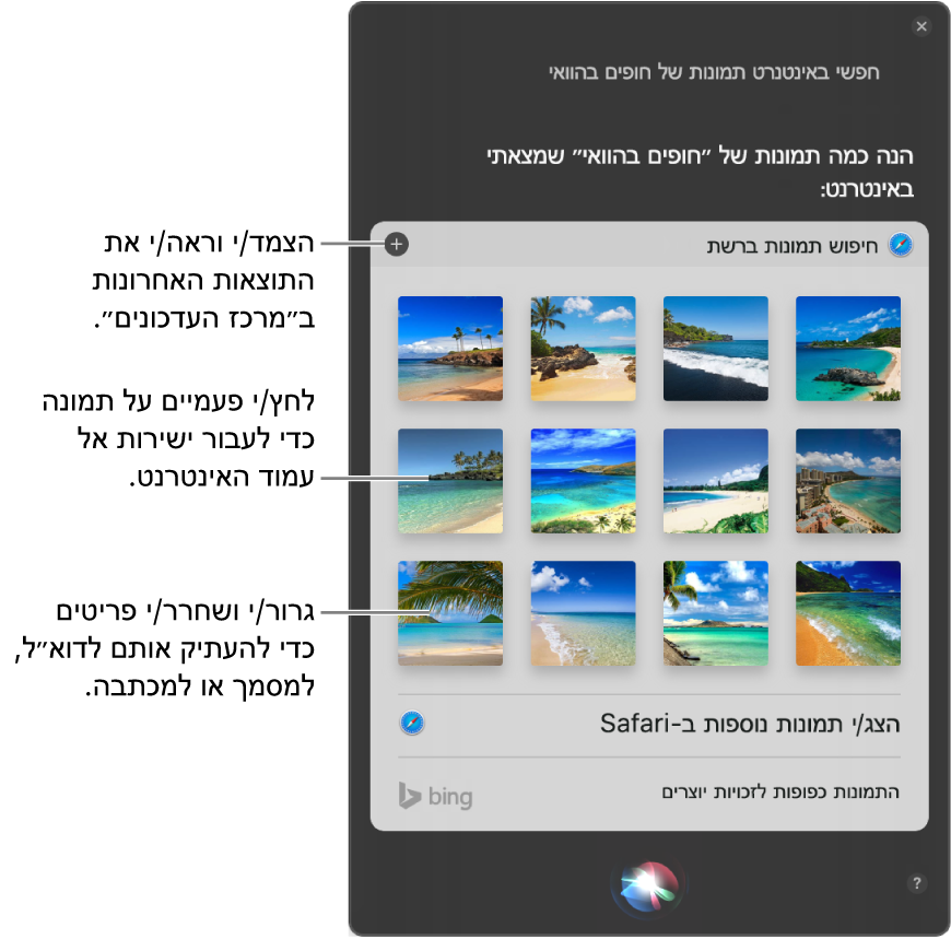 חלון Siri המציג תוצאות Siri בהתאם לבקשה ״תחפש באינטרנט תמונות של חופים בהוואי״. ניתן להצמיד תוצאות ל״מרכז העדכונים״, ללחוץ פעמיים על תמונה לפתיחת עמוד האינטרנט המכיל את התמונה או לגרור תמונה לתוך הודעת דוא״ל או למסמך, או למכתבה.