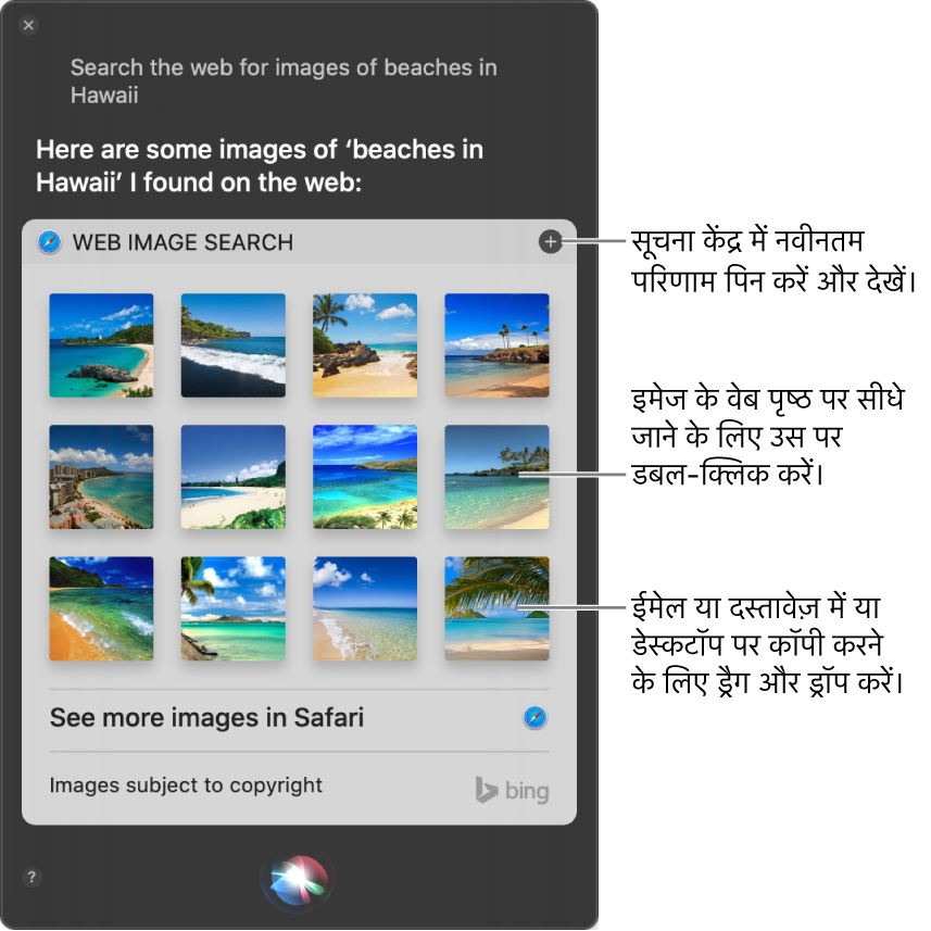 ”हवाई में मौजूद सागर तटों की इमेज के लिए वेब पर खोज करें” अनुरोध पर Siri परिणाम दिखाती Siri विंडो। आप परिणामों को सूचना केंद्र पर पिन कर सकते हैं, इमेज को शामिल करने वाला वेबपृष्ठ खोलने के लिए किसी इमेज पर डबल-क्लिक कर सकते हैं या किसी इमेज को ईमेल या दस्तावेज़ या डेस्कटॉप पर ड्रैग कर सकते हैं।