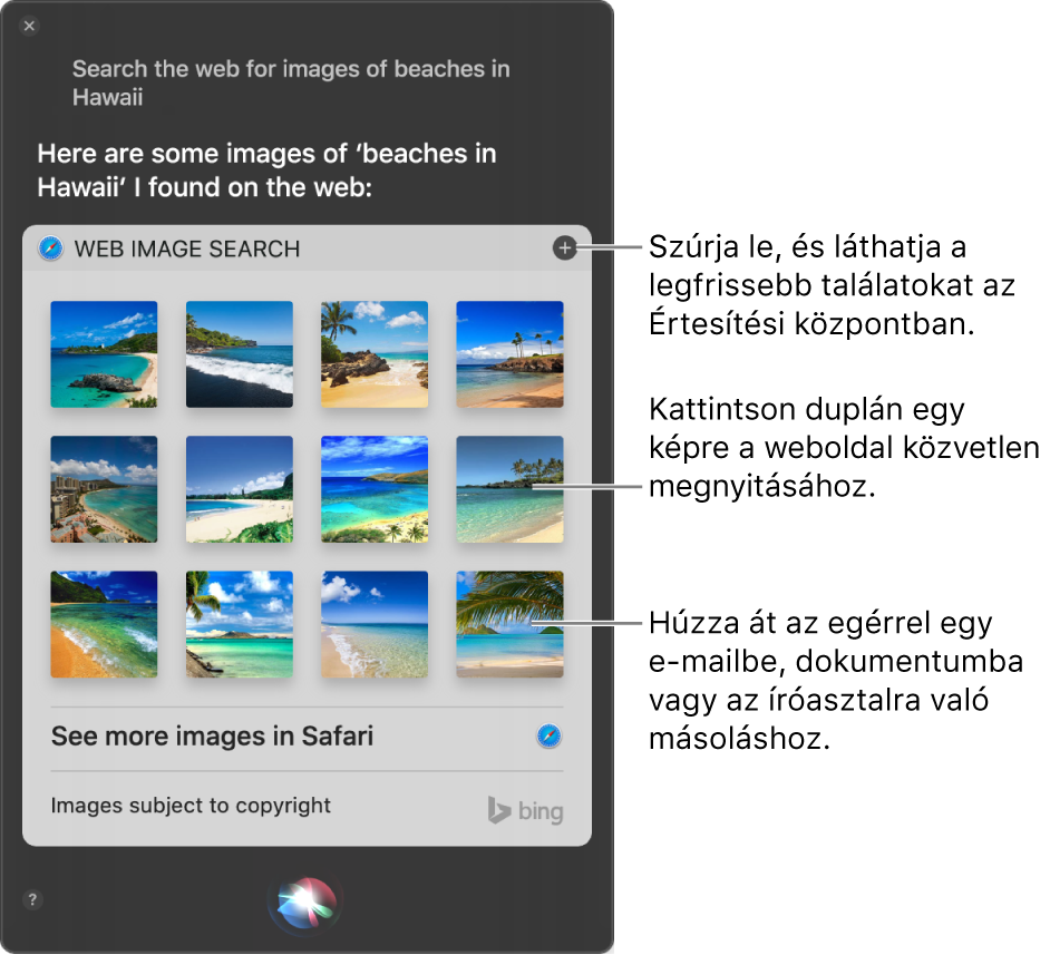 A Siri ablaka, amelyben a következő kérésre vonatkozó eredmények láthatók.„Search the web for images of beaches in Hawaii.” Az eredményeket kitűzheti az Értesítési központban, kattinthat duplán a képre, ha meg szeretné nyitni a képet tartalmazó weboldalt, vagy e-mailbe, dokumentumba, illetve az íróasztalra húzhatja a képet.