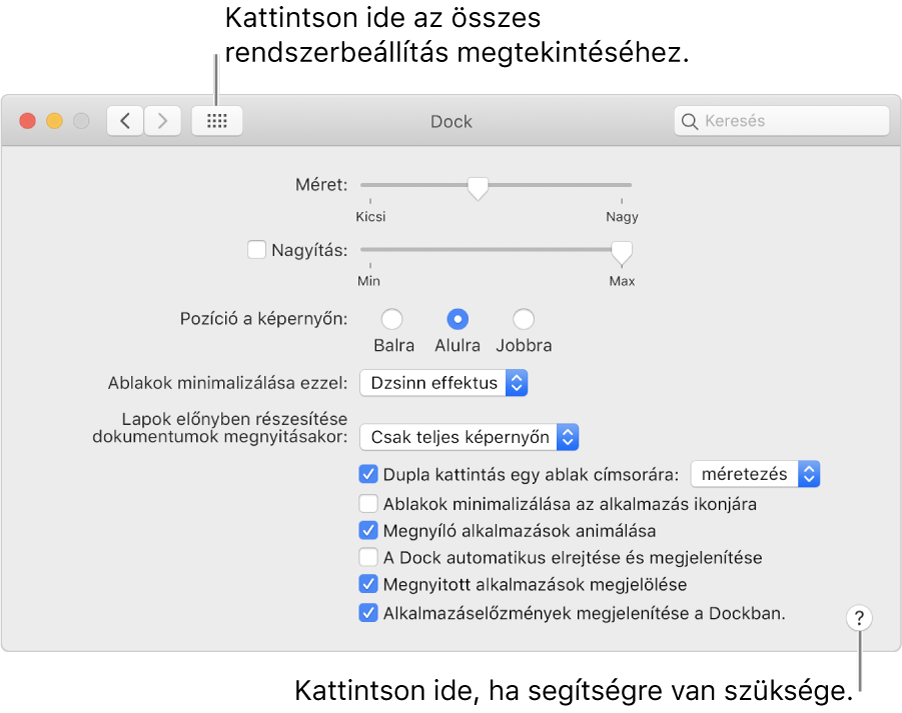 Kattintson az Összes megjelenítése elemre az összes beállítási ikon megtekintéséhez. A panellel kapcsolatos további információkért kattintson a Súgó gombra.