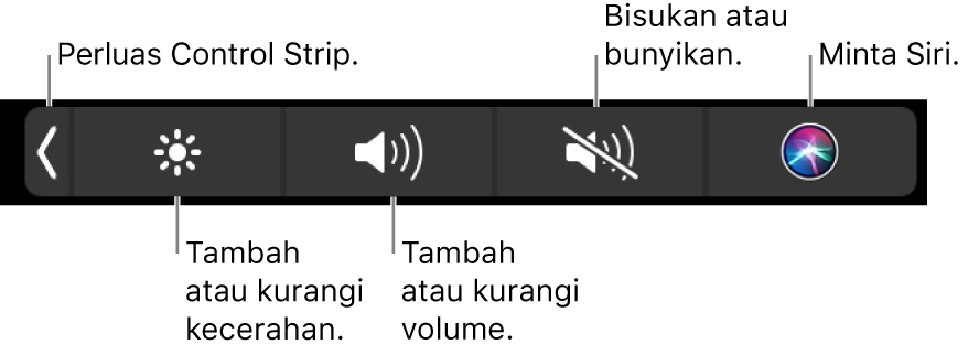 Control Strip yang diciutkan meliputi tombol—dari kiri ke kanan—untuk memperluas Control Strip, menambah dan mengurangi kecerahan layar dan volume, membisukan atau membunyikan, dan meminta Siri.