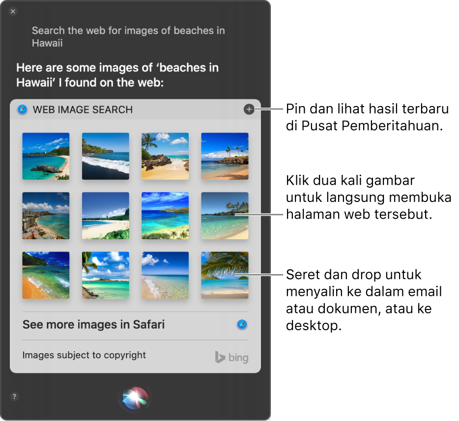 Jendela Siri menampilkan hasil Siri untuk permintaan “Search the web for images of beaches in Hawaii”. Anda dapat mengepin hasil ke Pusat Pemberitahuan, mengeklik dua kali gambar untuk membuka halaman web yang berisi gambar, atau menyeret gambar ke dalam email atau dokumen atau ke desktop.