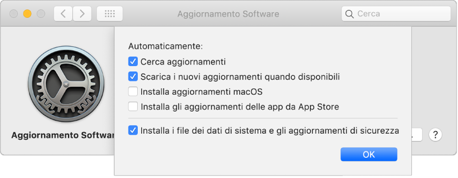 Opzioni avanzate delle preferenze Aggiornamento Software.