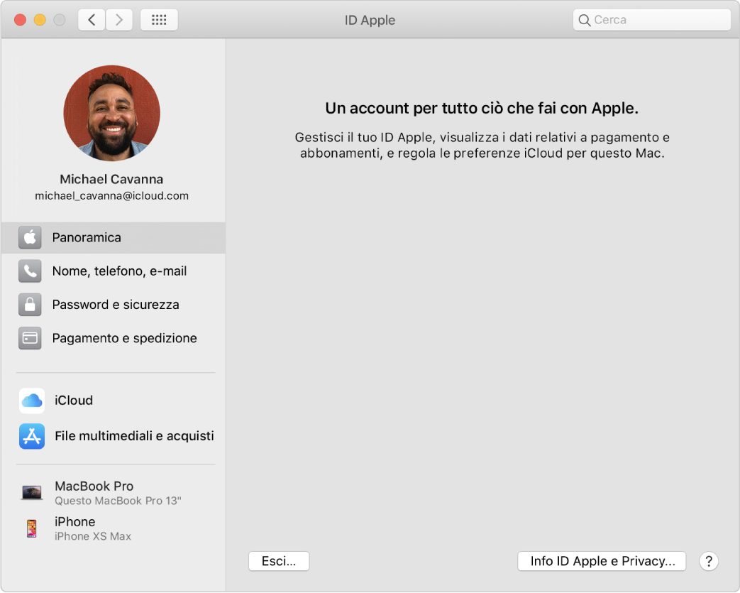 Preferenze ID Apple che mostrano una barra laterale con i diversi tipi di opzioni dell'account che puoi usare e le preferenze Panoramica per un account esistente.