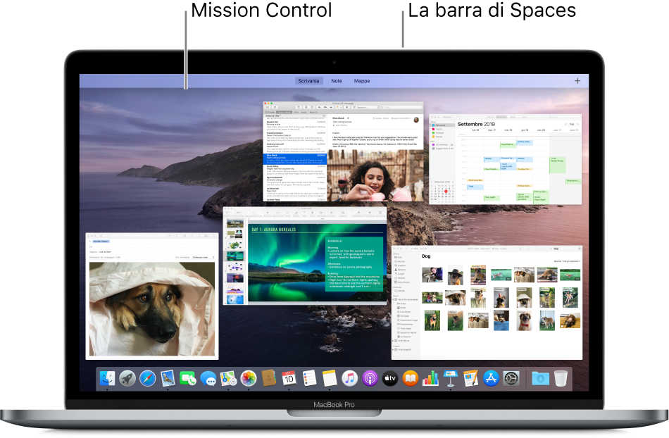 Varie finestre aperte disposte in un unico livello in Mission Control, con la barra di Spaces nella parte superiore dello schermo.