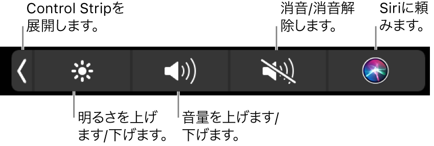 折りたたまれたControl Stripには、左から右へ順に、Control Stripを展開するボタン、ディスプレイの輝度および音量を調整するボタン、消音にしたり消音を解除したりするボタン、およびSiriに頼むボタンが含まれています。