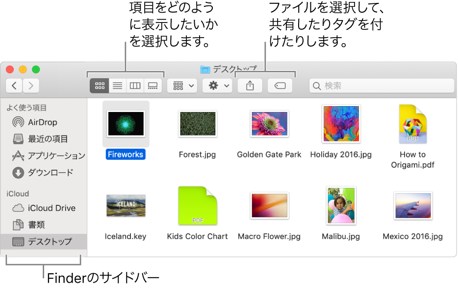 左側にFinderサイドバーがあるFinderウインドウ。ウインドウの左上には4つのボタンがあり、クリックするとFinderウインドウでの項目の表示方法が変わります。右側には2つのボタンがあり、クリックすると選択したファイルが共有またはタグ付けされます。