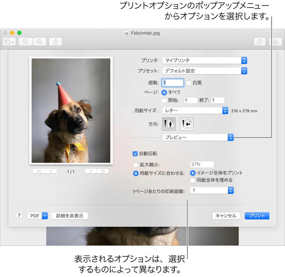 Macでプリントの詳細設定を選択する Apple サポート