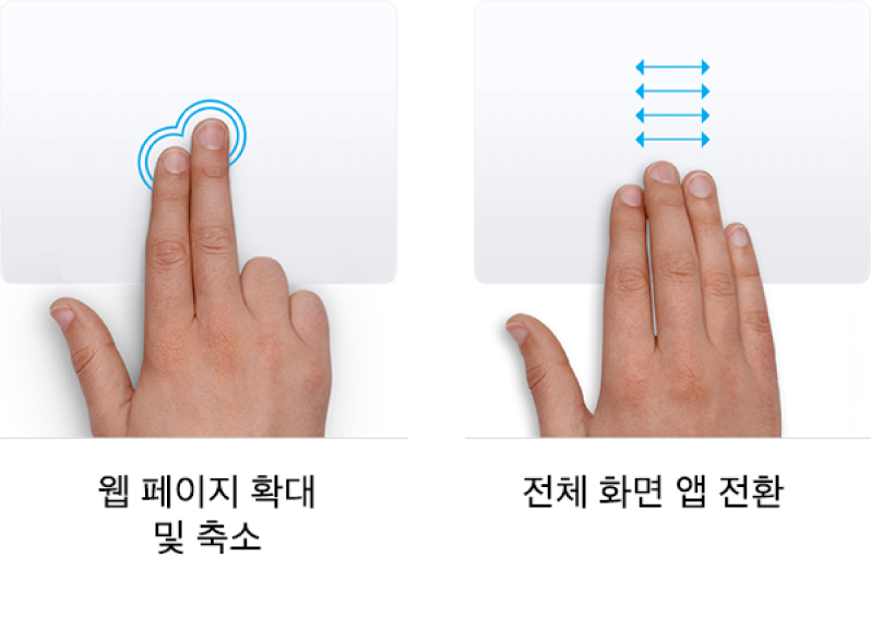 웹 페이지에서 확대/축소하거나 전체 화면 앱을 전환하는 트랙패드 제스처 예제.