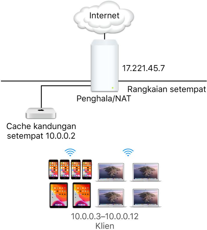 Pelayan cache subjaringan tunggal.