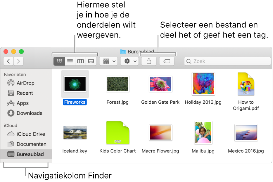 Een Finder-venster met links de Finder-navigatiekolom. Linksboven in het venster bevinden zich vier knoppen waarop je kunt klikken om de manier te wijzigen waarop je onderdelen in het Finder-venster bekijkt. Rechts bevinden zich twee knoppen waarop je kunt klikken om geselecteerde bestanden te delen of er tags aan toe te voegen.