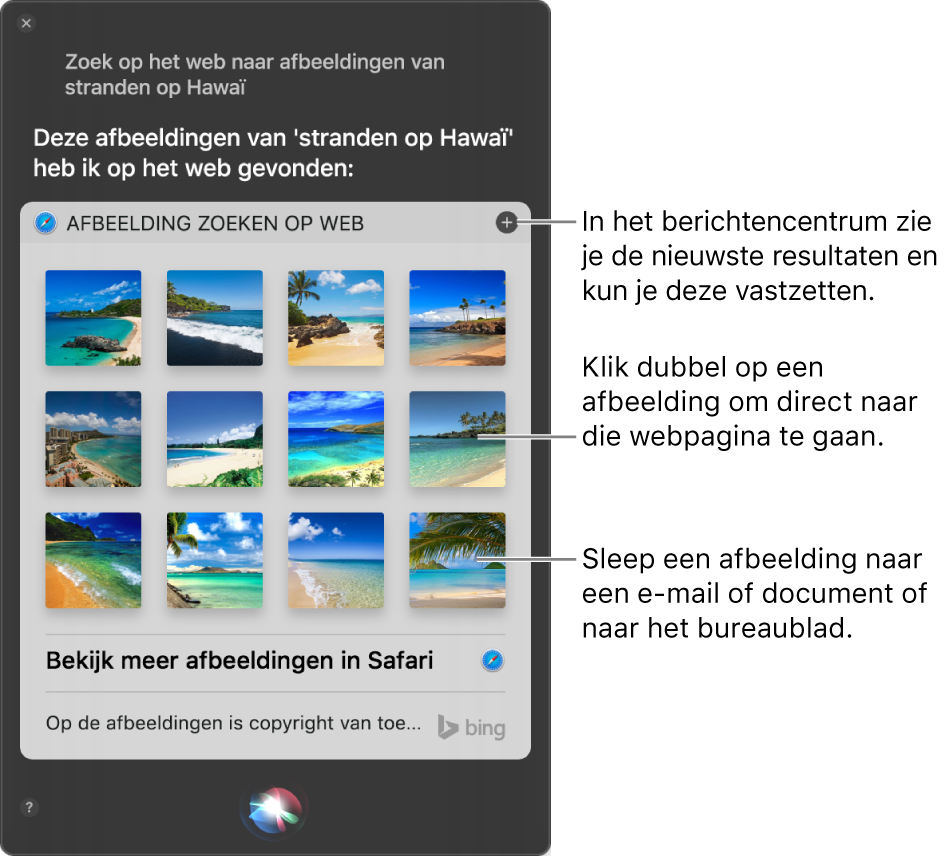 Het Siri-venster met Siri-resultaten voor het verzoek "Zoek op het web naar afbeeldingen van stranden in Hawaï". Je kunt de resultaten vastmaken aan het berichtencentrum, dubbel klikken op een afbeelding om de webpagina met de afbeelding te openen of een afbeelding naar een e-mail of document of naar het bureaublad slepen.