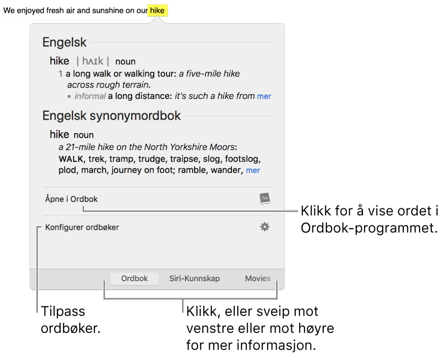 Slå opp-vinduet som viser Ordbok- og Synonymordbok-definisjoner for et ord.