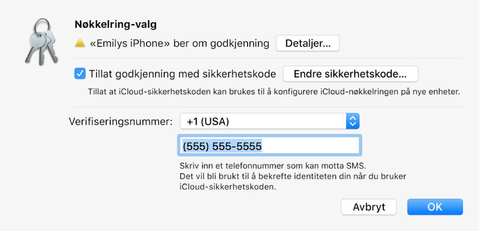 icloud facetime login not working authentication
