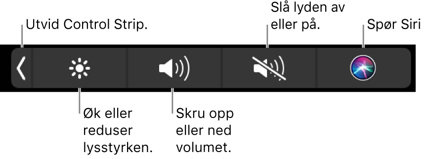 Når Control Strip er minimert, inneholder den knapper, fra venstre mot høyre, for å utvide Control Strip, øke eller redusere lysstyrke og volum, slå lyden av eller på og spørre Siri.