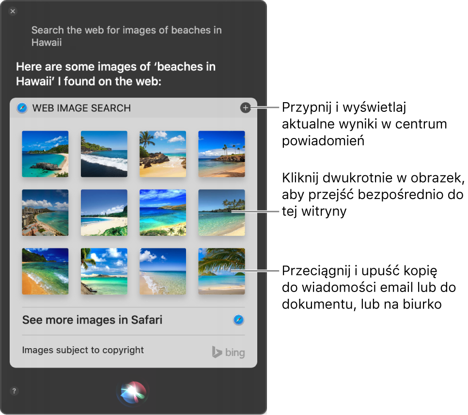 Okno Siri z wynikami działania polecenia „Search the web for images of beaches in Hawaii.” Możesz przypiąć wyniki w centrum powiadomień, kliknąć dwukrotnie w obraz, aby otworzyć zawierającą go witrynę, a także przeciągnąć obraz do wiadomości email, do dokumentu lub na Biurko.
