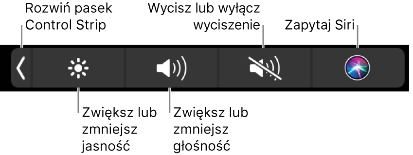 Zwinięty pasek Control Strip zawiera przyciski (od lewej do prawej) pozwalające rozwijać Control Strip, zwiększać lub zmniejszać jasność ekranu i głośność, wyciszać lub włączać dźwięk, oraz używać Siri.