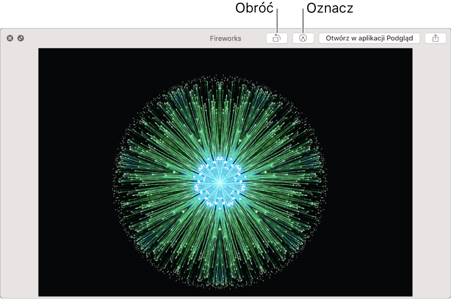 Obraz w oknie Szybkiego przeglądu, zawierającym przyciski pozwalające na obracanie go, dodawanie oznaczeń, otwieranie w aplikacji Podgląd oraz udostępnianie.