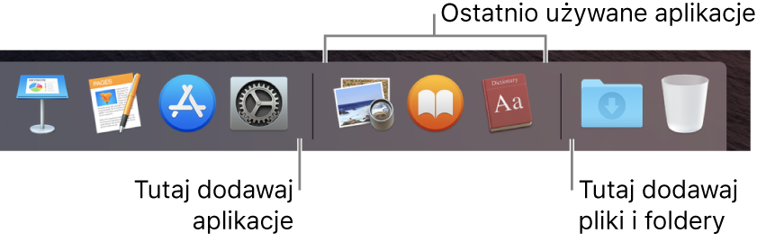 Prawa strona Docka. Możesz dodawać aplikacje po lewej stronie sekcji ostatnio używanych aplikacji, a foldery po prawej stronie tej sekcji, czyli tam, gdzie znajduje się stos Pobrane rzeczy oraz Kosz.