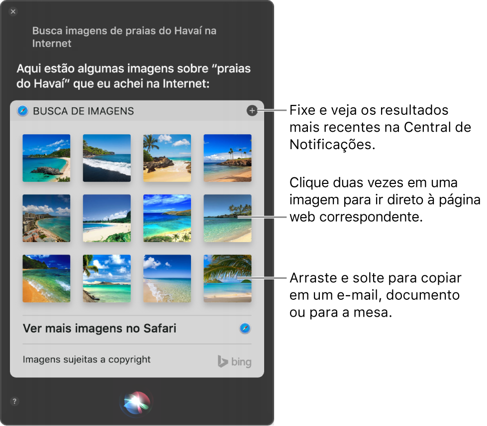 Janela da Siri mostrando os resultados da Siri ao pedido “Busque na web por imagens de praias no Havaí”. Você pode fixar os resultados na Central de Notificações, clicar duas vezes em uma imagem para abrir a página web que a contém ou arrastar uma imagem para um e-mail ou documento ou para a mesa.