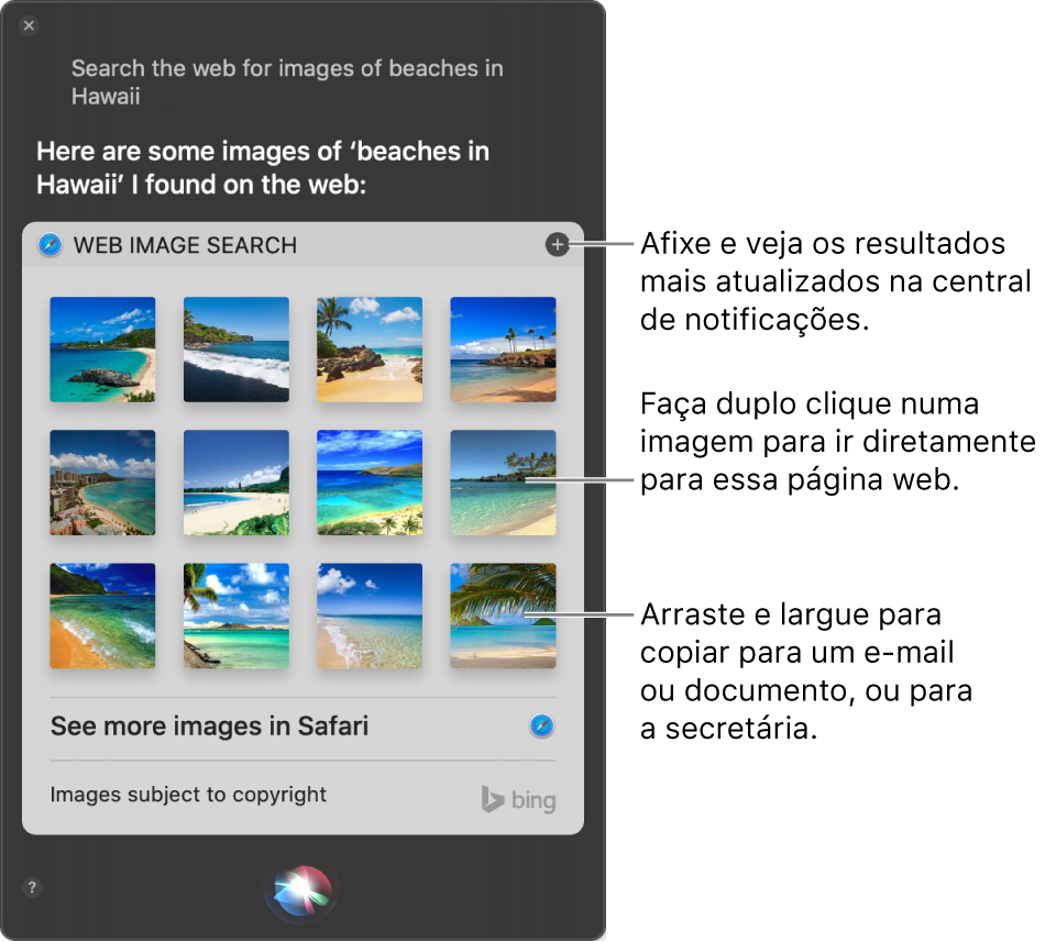 A janela de Siri a mostrar os resultados ao pedido “Search the web for images of beaches in Hawaii.”. Pode afixar os resultados na central de notificações, fazer duplo clique numa imagem para abrir uma página da web que contenha uma imagem ou arrastar uma imagem para um e-mail ou documento ou para a secretária.