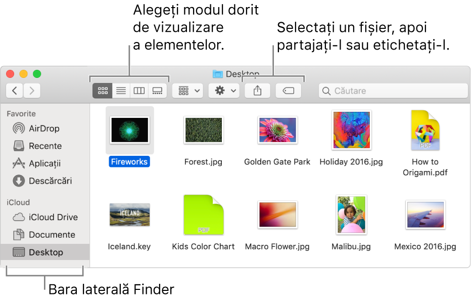 O fereastră Finder cu bara laterală din Finder pe stânga. În partea din stânga sus a ferestrei se află patru butoane pe care trebuie să faceți clic pentru a schimba modul în care vizualizați articolele în fereastra Finder. La dreapta se află două butoane pe care trebuie să faceți clic pentru a partaja sau a eticheta fișierele selectate.