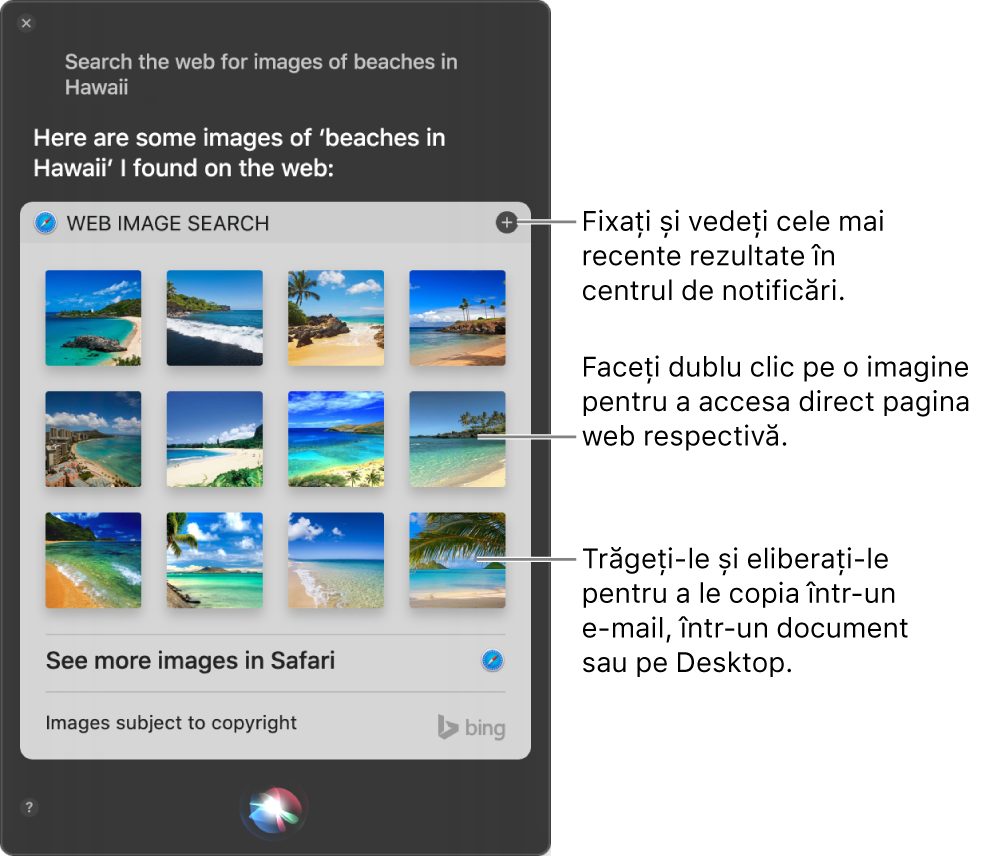 Fereastra Siri afișând rezultatele Siri la solicitarea “Search the web for images of beaches in Hawaii.” Puteți să fixați rezultatele în Centrul de notificări, să faceți dublu clic pe o imagine pentru a deschide pagina web care conține imaginea sau să trageți o imagine într-un e-mail sau într-un document sau pe desktop.