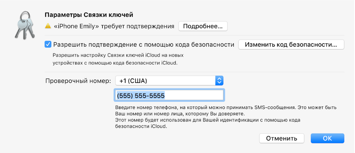 Диалоговое окно «Параметры Связки ключей iCloud» с именем устройства, запрашивающего одобрение, и кнопкой «Подробнее» рядом с ним.