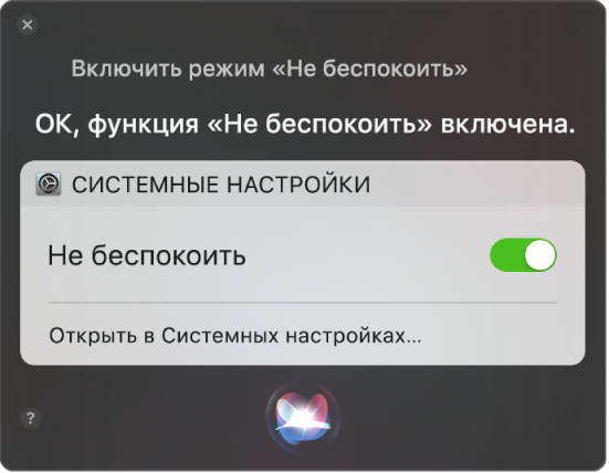 В окне Siri показан запрос о выполнении задачи: «Включи "Не беспокоить"».