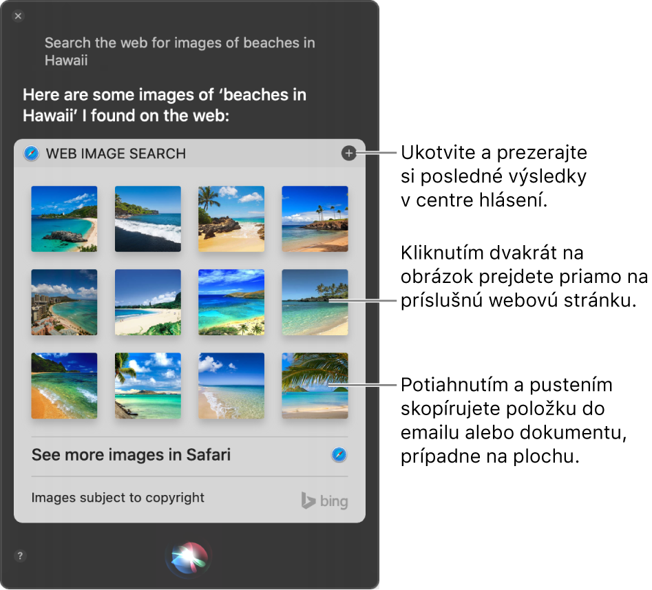 Okno Siri zobrazujúce výsledky Siri na požiadavku „Search the web for images of beaches in Hawaii“ (Vyhľadať na webe obrázky pláží na Havaji). Výsledky môžete pripnúť do Centra hlásení, dvojitým kliknutím na obrázok otvoríte webovú stránku, ktorá daný obrázok obsahuje, alebo potiahnite obrázok do emailu, dokumentu či na plochu.
