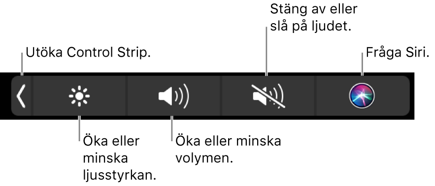 Hopfällda Control Strip innehåller knappar för att, från vänster till höger, utvidga Control Strip, öka eller minska ljusstyrkan på skärmen och volymen, stänga av eller slå på ljudet och fråga Siri.