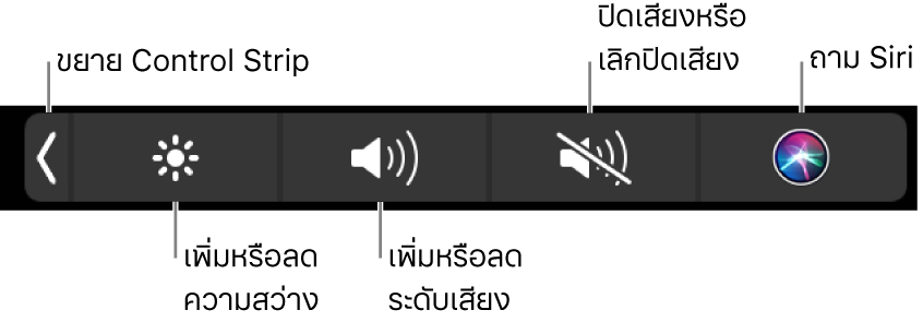 Control Strip ที่ยุบจะมีปุ่มต่างๆ เรียงจากซ้ายไปขวาดังนี้ ปุ่มสำหรับขยาย Control Strip ปุ่มสำหรับเพิ่มหรือลดความสว่างจอภาพและระดับเสียง ปุ่มสำหรับปิดเสียงหรือเลิกปิดเสียง และปุ่มสำหรับถาม Siri