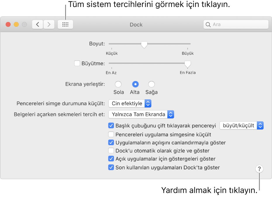Tüm tercih simgelerinizi görmek için Tümünü Göster‘i tıklayın. Bölüm hakkında daha fazla bilgi edinmek için Yardım düğmesini tıklayın.