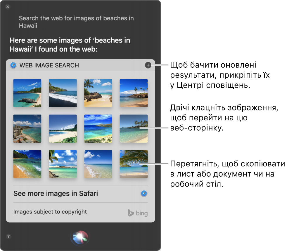 Вікно Siri із результатами Siri на ваш запит «Search the web for images of beaches in Hawaii.». Ви можете закріпити результати в Центрі сповіщень, двічі клацнути зображення, щоб відкрити веб-сторінку із зображенням, або перетягнути зображення в електронний лист або документ чи на робочий стіл.