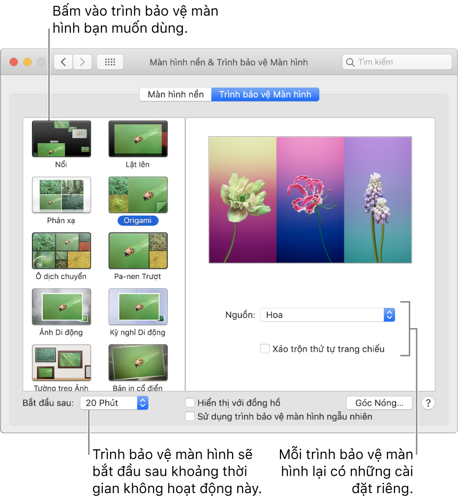 Khung Trình bảo vệ màn hình của Tùy chọn hệ thống.
