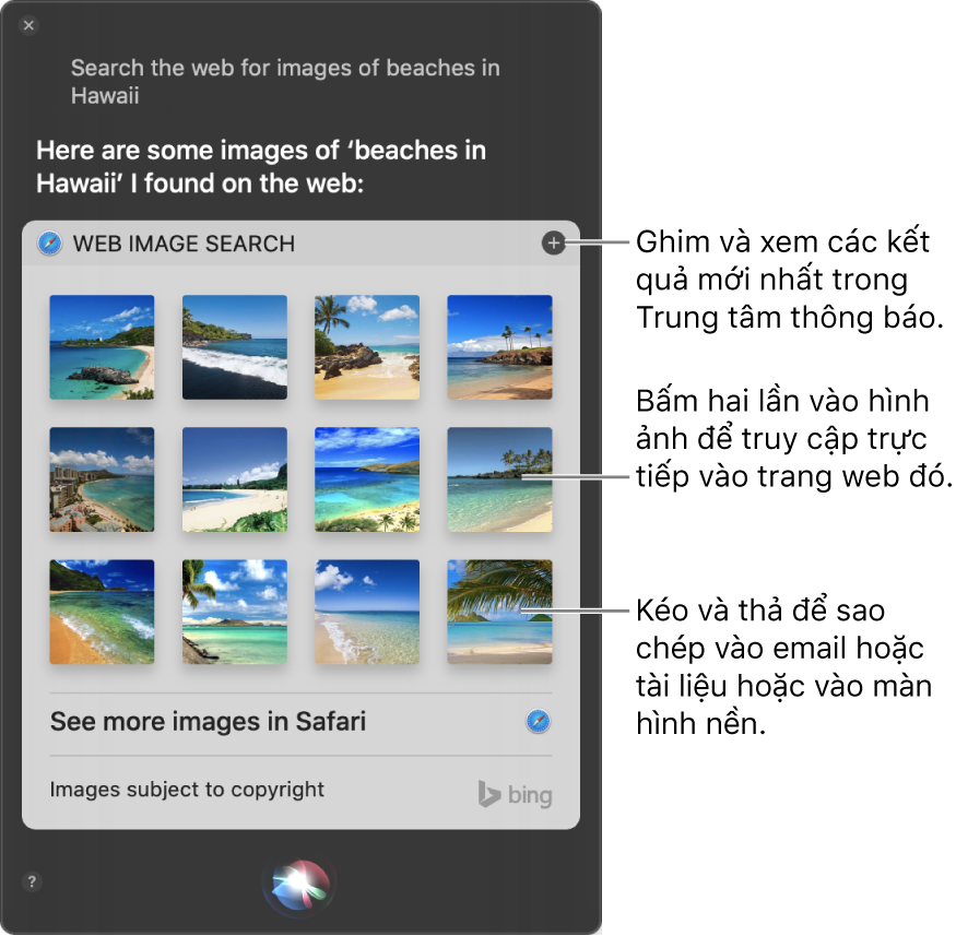 Cửa sổ Siri đang hiển thị các kết quả của Siri cho yêu cầu “Search the web for images of beaches in Hawaii”. Bạn có thể ghim kết quả vào Trung tâm thông báo, bấm hai lần vào hình ảnh để mở trang web chứa hình ảnh đó hoặc kéo hình ảnh vào email hoặc tài liệu hoặc vào màn hình nền.