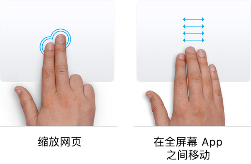 放大和缩小网页以及在全屏幕显示的 App 之间移动的触控板手势示例。