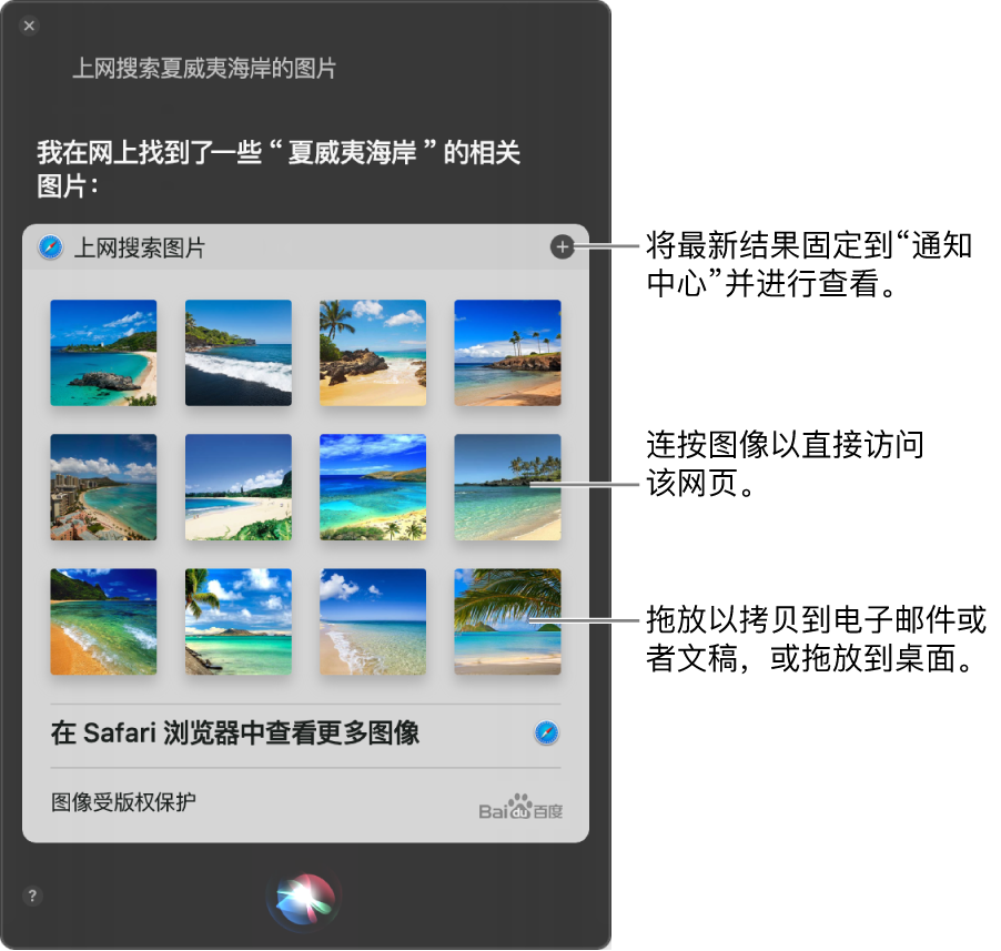 显示 Siri 请求（“上网查找夏威夷海岸的图片”）结果的 Siri 窗口。您可以将结果固定到“通知中心”，连按图像以打开包含该图像的网页，或者将图像拖到电子邮件或文稿中，或者拖到桌面上。