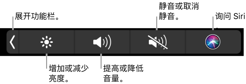 折叠的功能栏包括的按钮，从左到右依次为：展开功能栏、增加或减少显示器亮度和音量、静音或取消静音、以及询问 Siri。