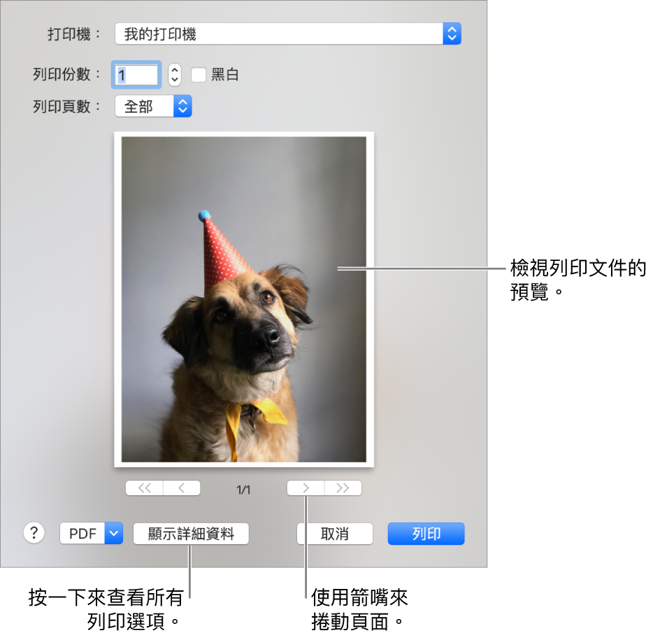 「打印機」彈出式選單中的圖像表示打印機的狀態。「列印」對話框會顯示你列印工作的小型預覽畫面。按一下「顯示詳細資料」按鈕來查看所有列印選項。