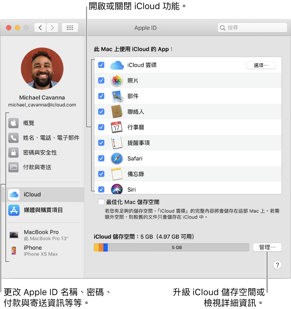 已選取所有功能的 iCloud 偏好設定。