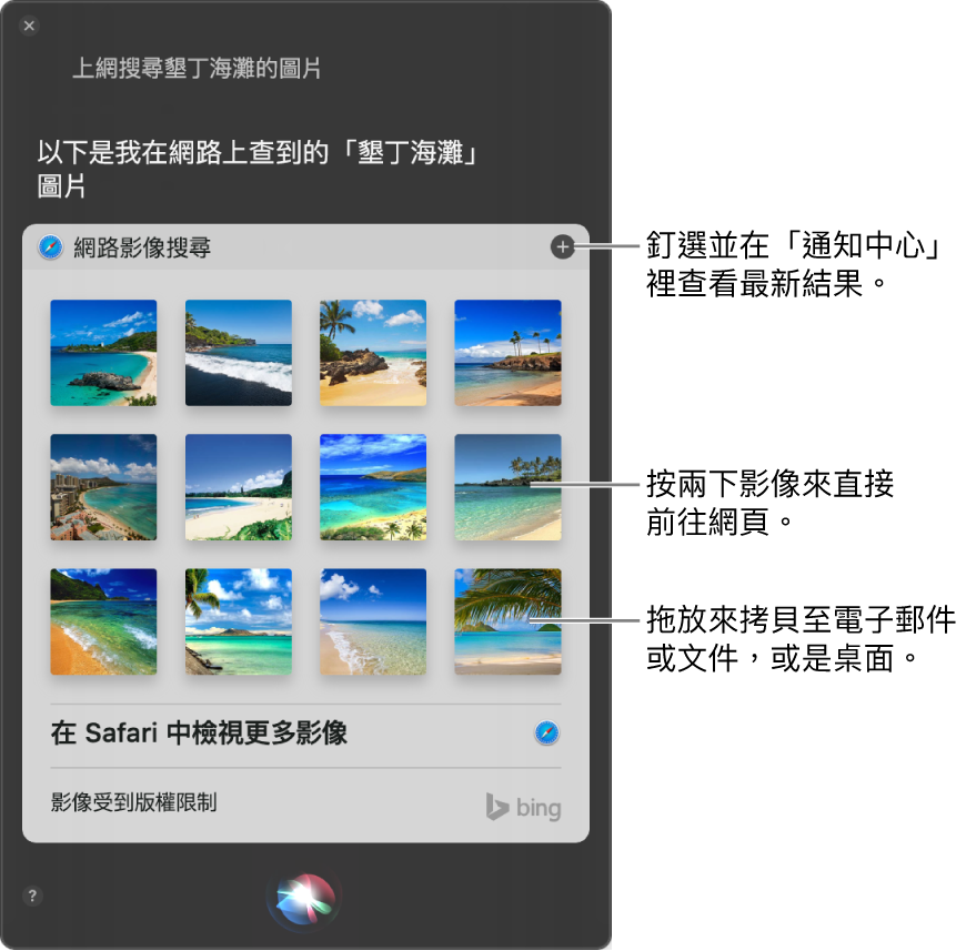 Siri 視窗，顯示針對您所提出詢問「上網搜尋夏威夷海灘的圖片」得到的 Siri 結果。您可以將結果釘選在「通知中心」，按兩下影像來打開包含影像的網頁，或者將影像拖至電子郵件、文件或桌面中。