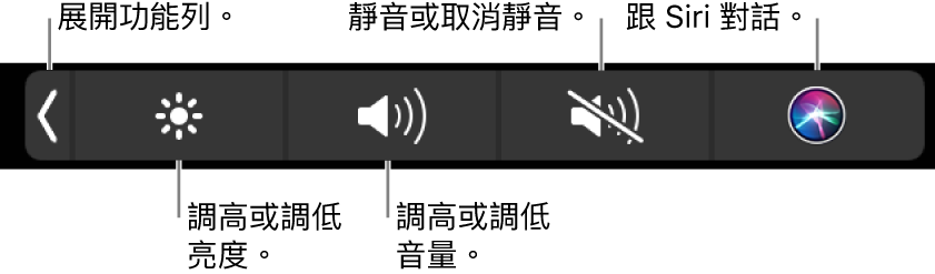 收合的功能列包含以下操作的按鈕：由左至右依序是展開功能列、增加或減少顯示器亮度和音量、靜音或取消靜音以及詢問 Siri。