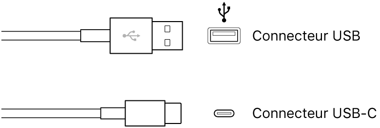 Figure. Illustration des connecteurs USB et USB-C.