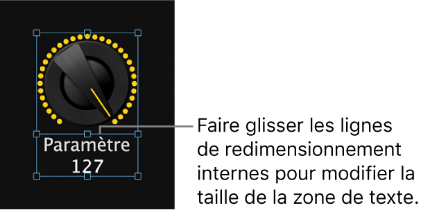 Figure. Redimensionnement de la zone d’affichage du texte d’une commande d’écran par glissement du guide de redimensionnement intérieur.